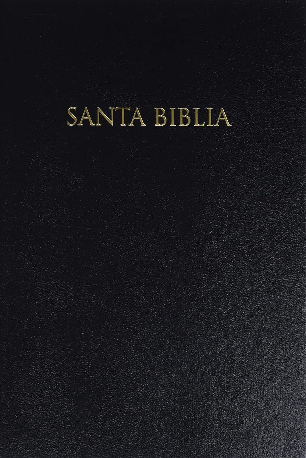 Biblia Reina Valera 1960, Tapa Dura, Negro (En Español) RVR 1960 Gift Hardcover